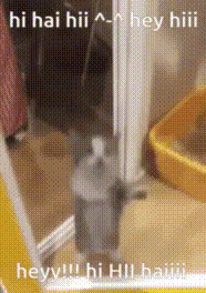 Hi hi kitty gif